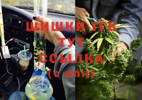 спайс Арсеньев