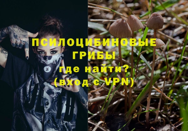 a pvp Армянск