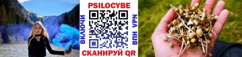 MEGA рабочий сайт  где купить наркотик  Хилок  Псилоцибиновые грибы Psilocybine cubensis 