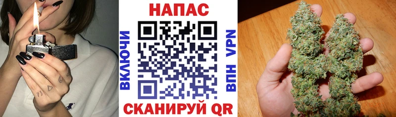 МАРИХУАНА семена  Хилок 